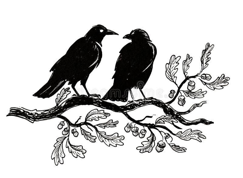 Delight Image 2